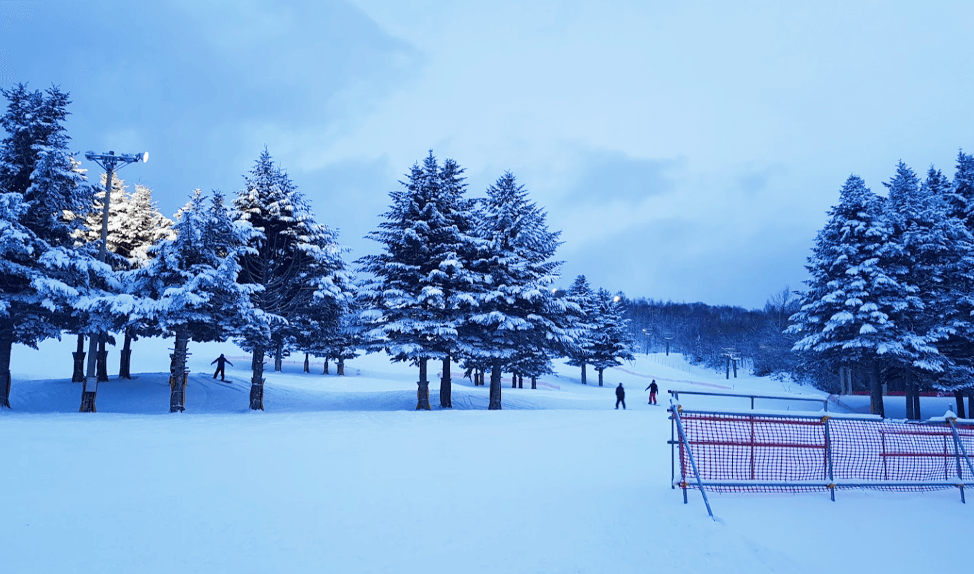 Dynasty Ski Resort