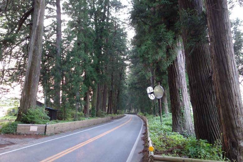 Cedar Avenue of Nikkō cover image