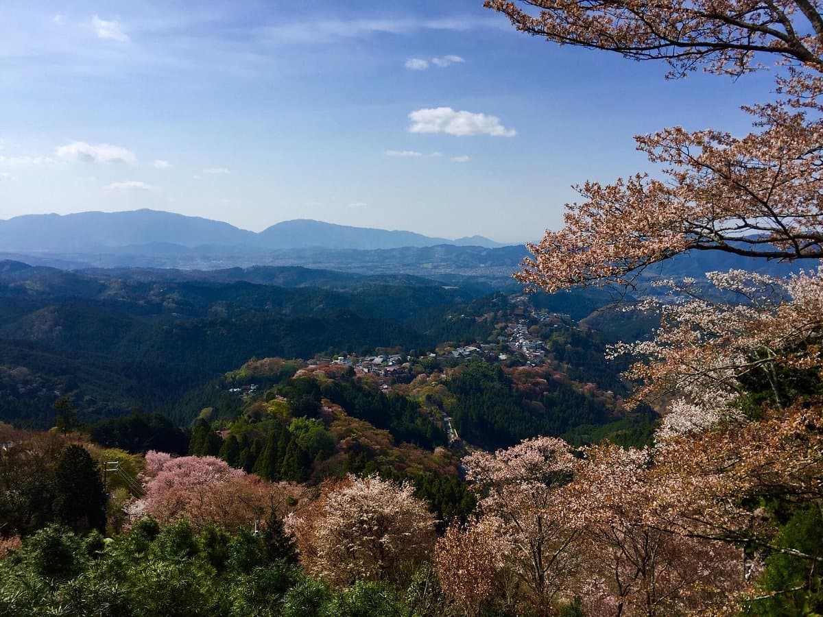 Yoshino cover image