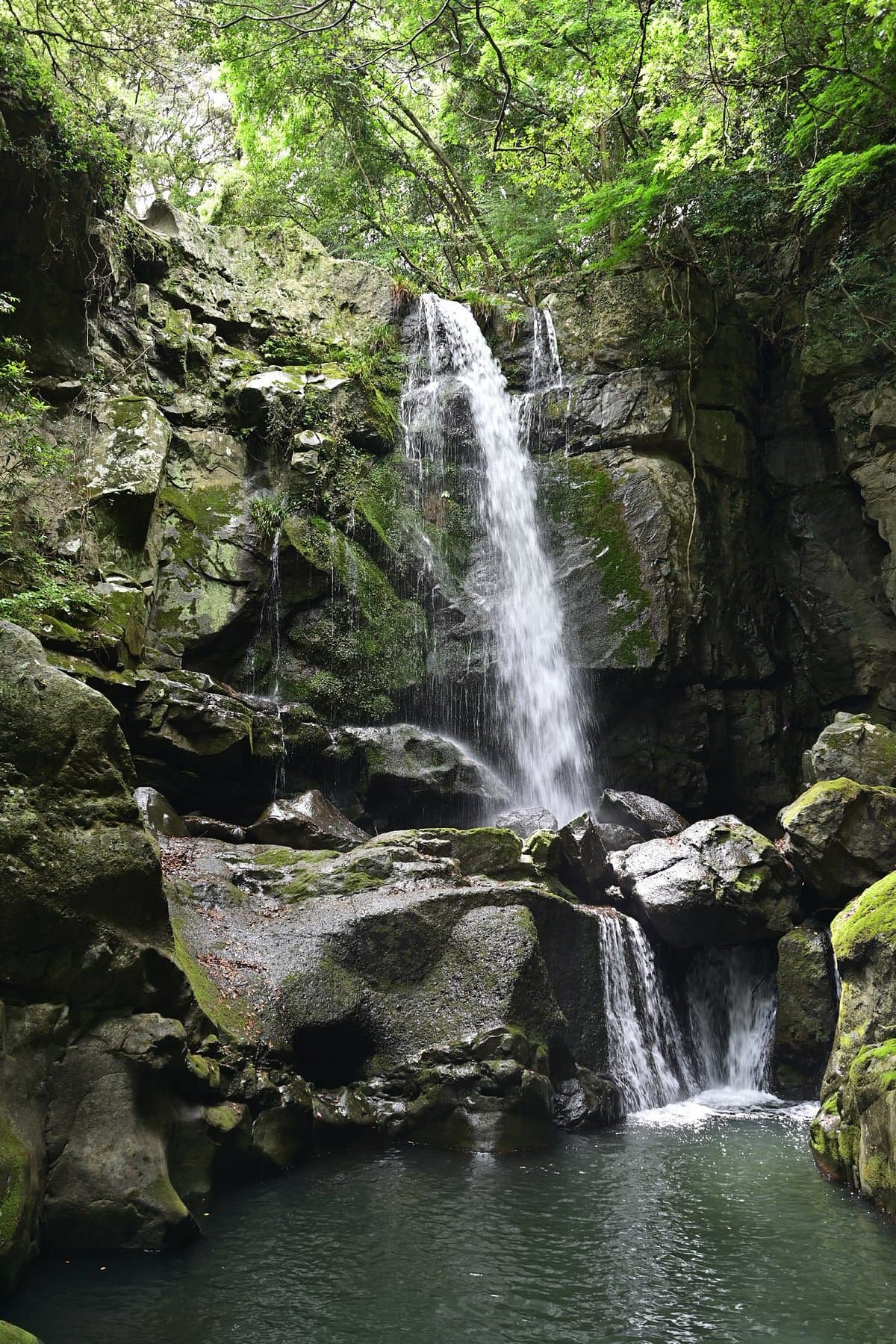Aiya Falls cover image