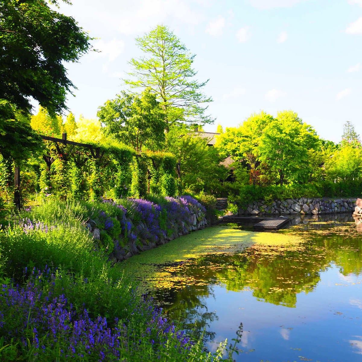 Karuizawa Lake Garden cover image