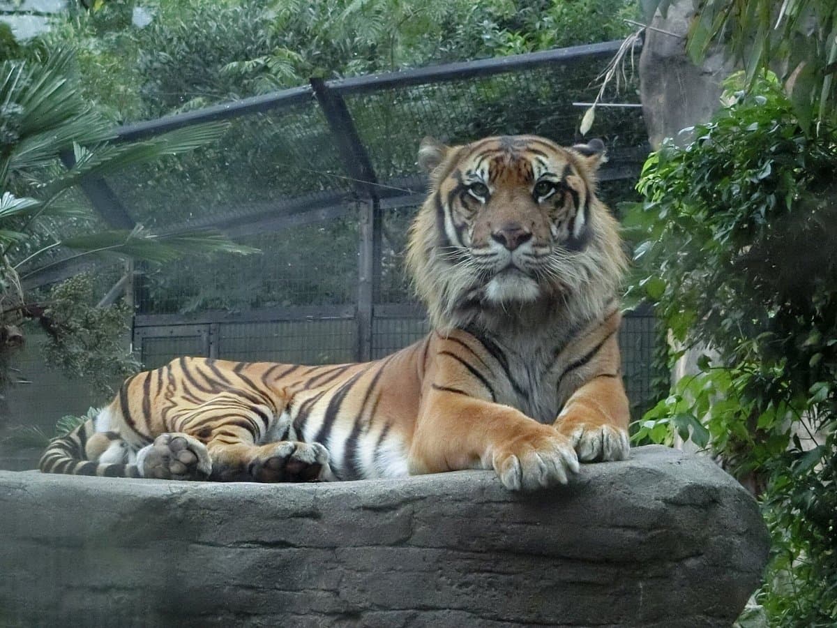 Yagiyama Zoological Park